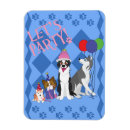 Recherche de chien de border collie magnets Animaux familiers