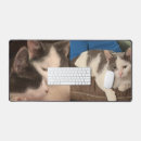 Recherche de chat gris blanc tapis souris Pour tous