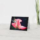 Recherche de joie photographie Fleur