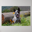 Suche nach sitzungen poster Spaß