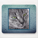 Recherche de yeux tigre tapis souris Photographie