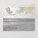 Recherche de mer cartes postales Photographie