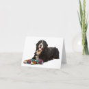 Suche nach berner sennenhund karten Welpe