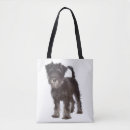 Suche nach schnauzer taschen Welpen