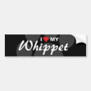 Suche nach whippets autoaufkleber Zucht