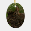 Suche nach frühling ornamente Kaninchen