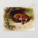 Recherche de naturaliste cartes postales Animal