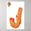 Recherche de rénal posters Médecine