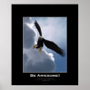 Recherche de d aigle posters Rapaces