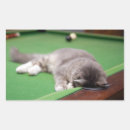 Suche nach farbbild aufkleber Fotografie