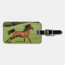 Recherche de courrier bagages étiquettes Cheval