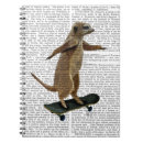 Suche nach meerkats Tiere