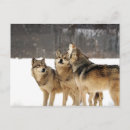 Recherche de choc cartes postales Animaux