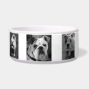 Suche nach lustige hundebilder Dogs