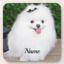 Suche nach pom untersetzer Hund