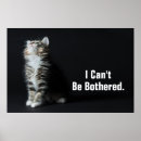 Suche nach tall poster Katze
