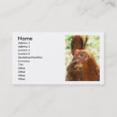 Recherche de rhodes cartes visite Coq