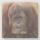 Suche nach orang utan untersetzer Affe