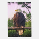 Recherche de aigles cuisine linges Amérique