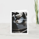 Suche nach album karten Stereo