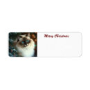 Recherche de chat de joyeux noël Claus