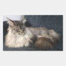 Suche nach große katzen aufkleber Katzenartig