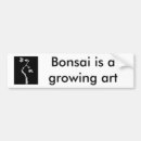 Suche nach bonsais Baum
