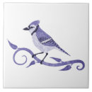 Suche nach blaues jay fliesen Vögel