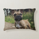 Recherche de french bulldog coussins Frenchie