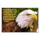 Suche nach weißkopfseeadler poster Druck