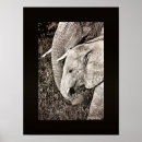 Suche nach portfolio poster Foto