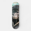 Recherche de singes skateboards Animaux