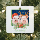 Suche nach weihnachtsschwein ornamente Tier