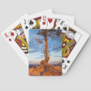 Recherche de humeur jeux de cartes Nature