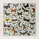Suche nach motte puzzle Schmetterling