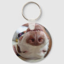 Suche nach pitbull hund schlüsselanhänger Welpe