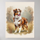 Recherche de chien berger australien posters Animaux de compagnie