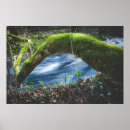 Recherche de enchanté art Vert