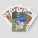 Suche nach mops spielkarten Möpsen