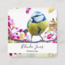Recherche de oiseau bleu cartes visite Mignon