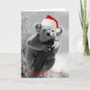 Suche nach koala weihnachten Australia