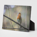 Recherche de chant plaques Oiseau