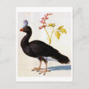 Suche nach arcimboldo postkarten Natur