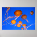 Suche nach gelee kunst Fisch