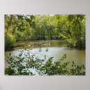 Suche nach walden teich poster Grün
