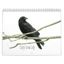 Suche nach krähe kalender Vogel