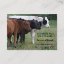 Recherche de bovins cartes visite Boeufs