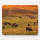 Suche nach tal mousepads Hügel