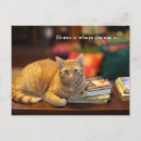 Recherche de chat orange cartes postales Chats