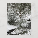 Suche nach fieber postkarten Winter